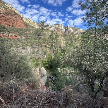 Coconino National Forest - Parks Near Me - Sedona, Arizona Coconino National Forest - Parks Near Me - Sedona, Arizona
