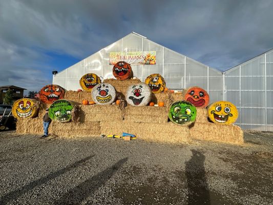 Bauman's Farm and Garden by null