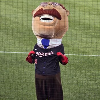 Nationals Park - Teddy! - Stadiums & Arenas Near Me - Washington, DC, District of Columbia