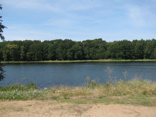 Grunewald by null