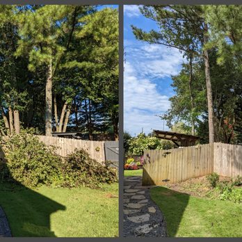 Chavez Tree Service - Tree Services Near Me - Lawrenceville, Georgia