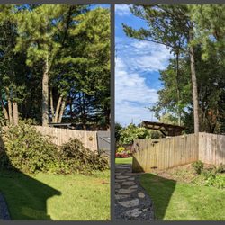Chavez Tree Service