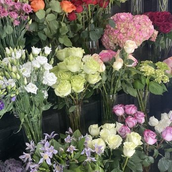 PlantShed - Florists Near Me - New York, New York PlantShed - Florists Near Me - New York, New York