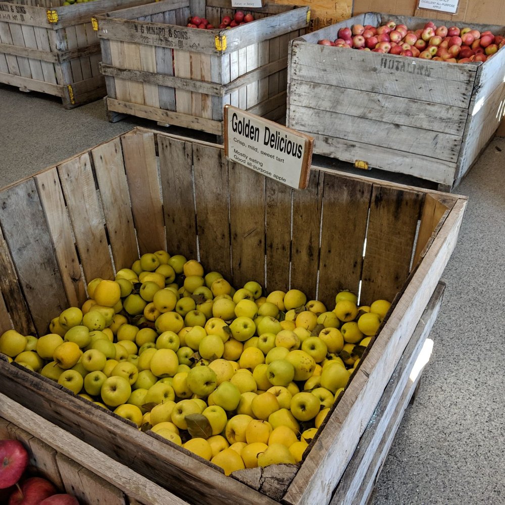 Ritter's Cider Mill - Fruits & Veggies Near Me - Mt Cobb, Pennsylvania Ritter's Cider Mill - Fruits & Veggies Near Me - Mt Cobb, Pennsylvania