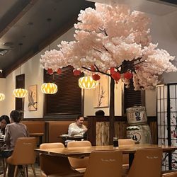 Sushi Masa - Aesthetic