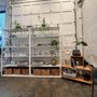 Photo of LIC Acupuncture & Wellness
