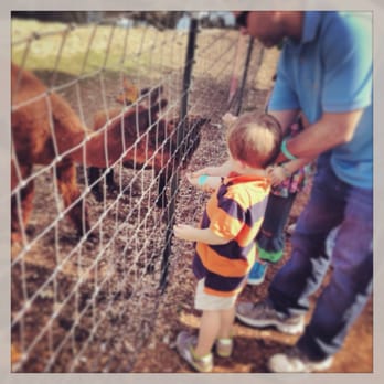 Lucky Ladd Farms - My son and husband - Zoos Near Me - Eagleville, Tennessee Lucky Ladd Farms - My son and husband - Zoos Near Me - Eagleville, Tennessee