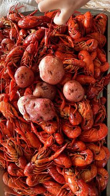 Atchafalaya Crawfish by null