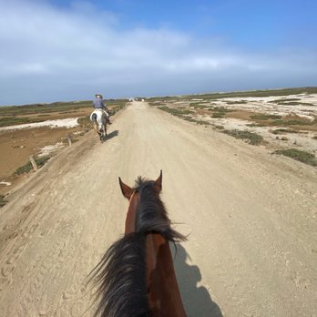 Blanco Brothers Ranch - Path to the beach - Horseback Riding Near Me - San Diego, California Blanco Brothers Ranch - Path to the beach - Horseback Riding Near Me - San Diego, California
