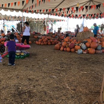 Frosty's Forest Pumpkin Patch - Of course pumpkins - Attraction Farms Near Me - Chino, California Frosty's Forest Pumpkin Patch - Of course pumpkins - Attraction Farms Near Me - Chino, California