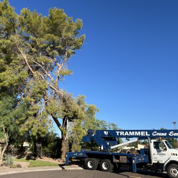 Heartwood Tree Care - Tree Services Near Me - Mesa, Arizona