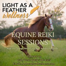 Light As A Feather Wellness
