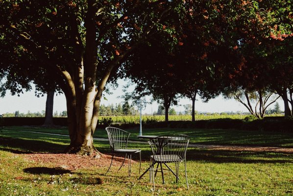 Monticello Vineyards by null