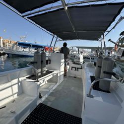 Dive Cabo