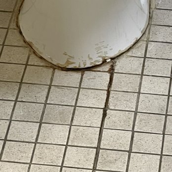 Comfort Inn East - My sisters room filthy toilet. - Hotels Near Me - Evansville, Indiana