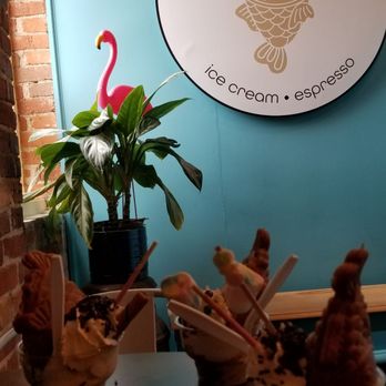 Sugar Koi - Ice Cream & Frozen Yogurt Near Me - Cary, North Carolina Sugar Koi - Ice Cream & Frozen Yogurt Near Me - Cary, North Carolina