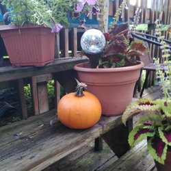 Wayside Garden Center
