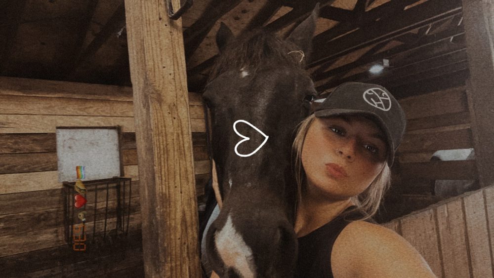 ORLOWSKI PREMIER PAINT HORSES Updated October 2024 16 Photos 330