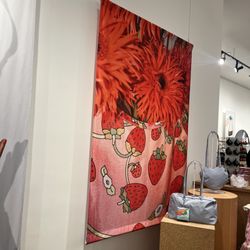 SoHo-Baggu