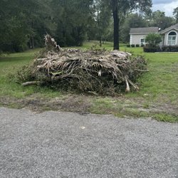 Central Florida Tree Pros - Tree trim debris