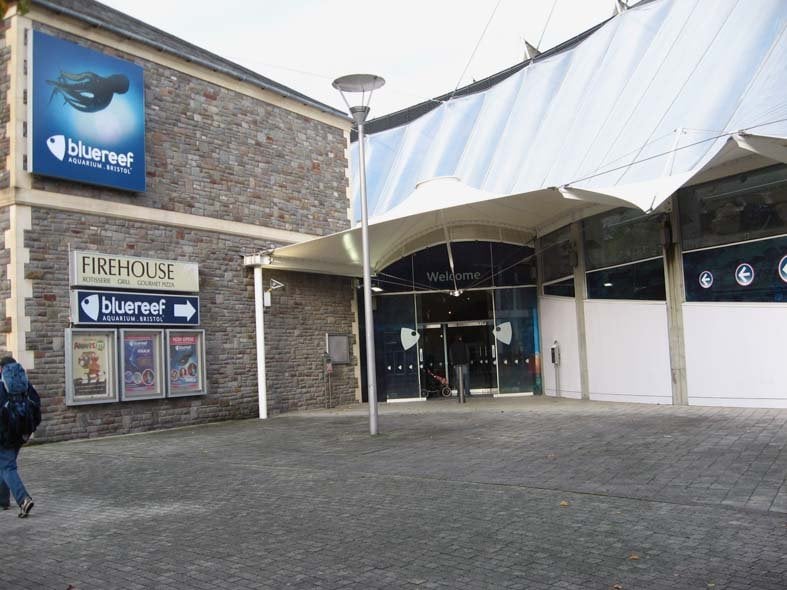 BRISTOL AQUARIUM 10 Reviews Anchor Road, Bristol, United Kingdom