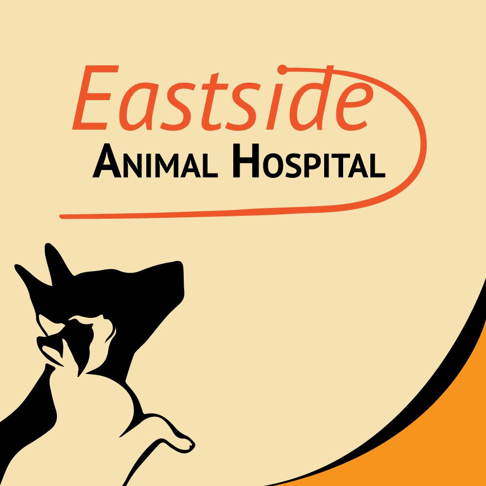 EASTSIDE ANIMAL HOSPITAL Updated October 2024 19 Photos 2301
