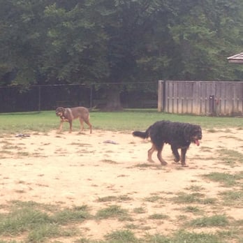 Cochran Hill Dog Run - Samson and scout in the back - Dog Parks Near Me - Louisville, Kentucky Cochran Hill Dog Run - Samson and scout in the back - Dog Parks Near Me - Louisville, Kentucky