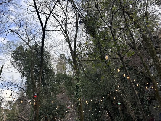 Rolando's Nuevo Latino Restaurante by null