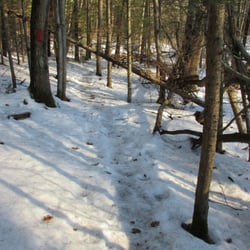 Wonderbrook Park - Some slow and technical mountain biking