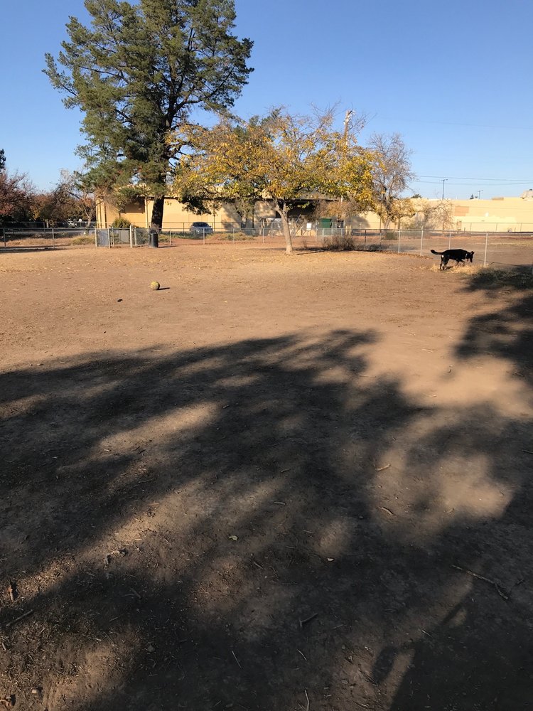 MAY NISSEN DOG PARK Updated May 2024 24 Photos 685 Rincon Ave