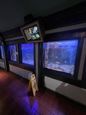 Key West Aquarium by null