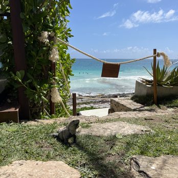Restaurante Mezzanine - Thai Near Me - Tulum, ROO