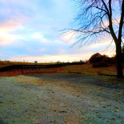 Goshen Road Walking Trail - Goshen Trail -- View of Ellis Preserve from trail parking lot