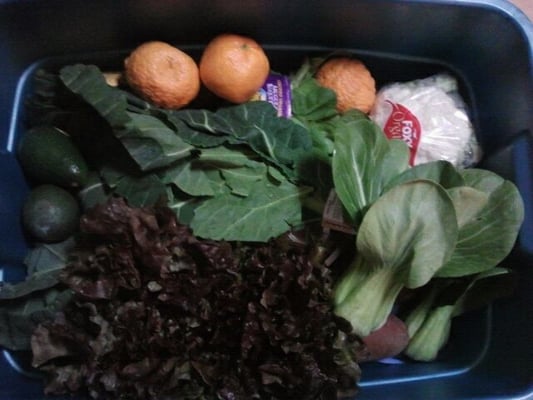 New Roots Organics by null