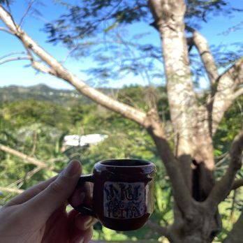 K-Feína - Espresso - Puerto Rican Near Me - Manati, Puerto Rico K-Feína - Espresso - Puerto Rican Near Me - Manati, Puerto Rico