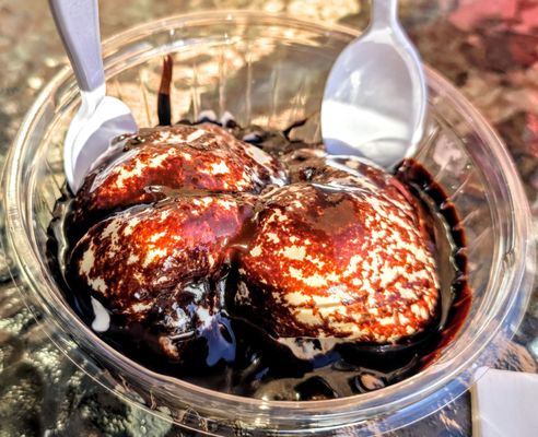 Lizzy's Ice Cream by null