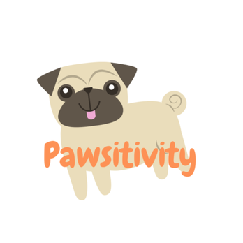 Pawsitivity Dog Walking - Pet Sitting Near Me Pawsitivity Dog Walking - Pet Sitting Near Me