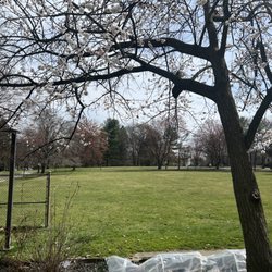 The Ruscombe Mansion - View from outdoor table