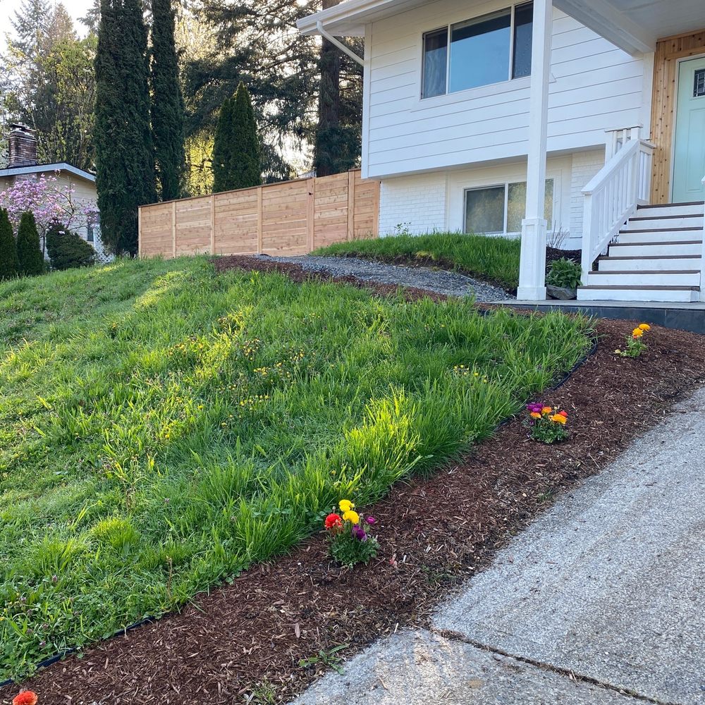 JDI Innovations Construction - Horizontal cedar fence - Windows Installation Near Me