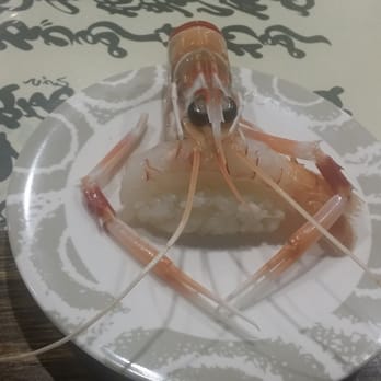 Kan Sushi - 1 piece of scampi sushi $3 - Sushi Bars Near Me - Chatswood, NSW