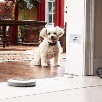 DogWatch - Ask us about our Indoor Boundaries, which can help you keep your pet away from the trash, off your countertops, away from the sofa and more! - Pet Training Near Me