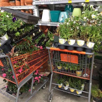 Hunter Channing Front And Highbury Back Ceiling Fans Yelp