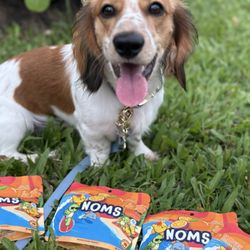 Noms | Hawaii Candy factory