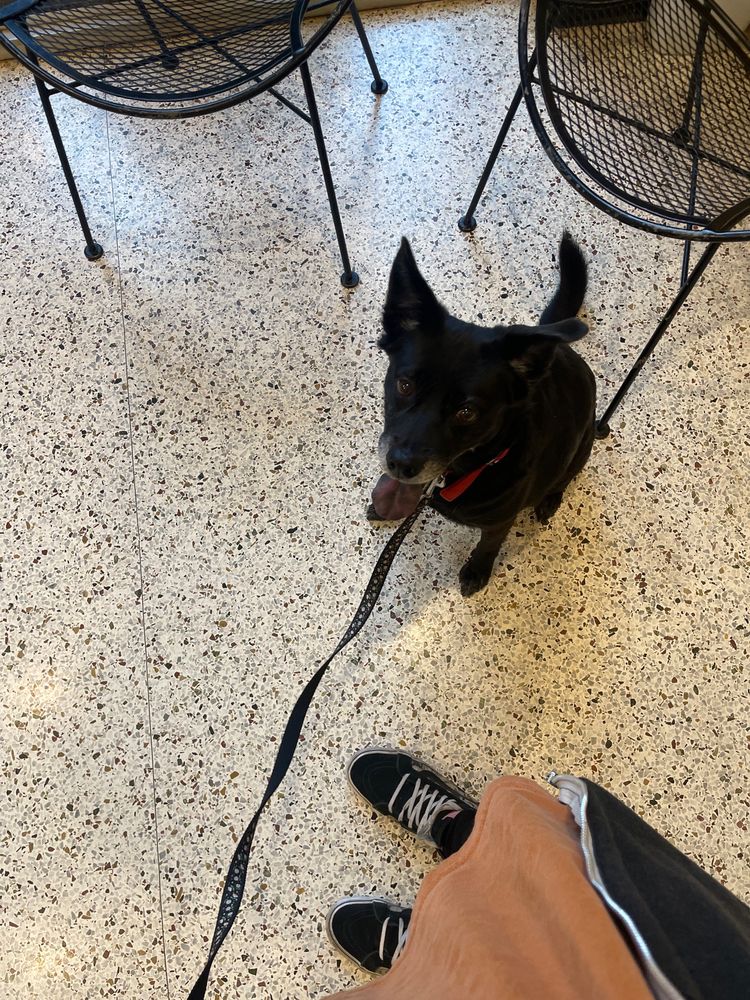 COVINGTON VETERINARY CLINIC PC Updated October 2024 10406 Hwy 278 E