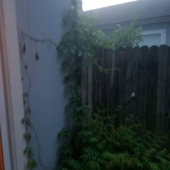 Sunway Landscape Services - Weed removal is supposed to be a part of regular service. - Landscaping Near Me - Jacksonville, Florida