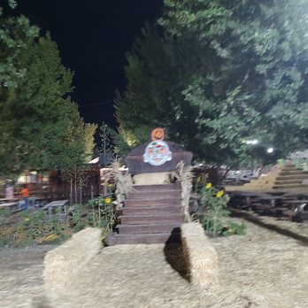 Live Oak Canyon Pumpkin Patch and Christmas Tree Farm - Christmas Trees Near Me - Redlands, California Live Oak Canyon Pumpkin Patch and Christmas Tree Farm - Christmas Trees Near Me - Redlands, California