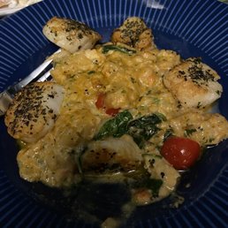Scallop risotto