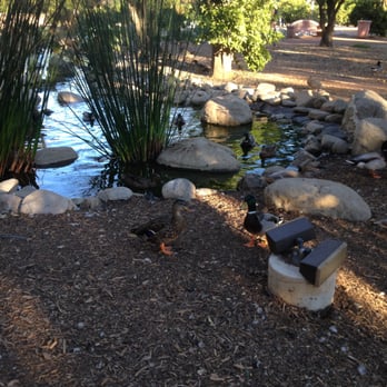 CSUN Pond - CSUN Pond - Parks Near Me - Los Angeles, California