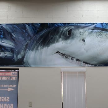A&E Reprographics - Yes, we have a pet shark. - Printing Services Near Me - Prescott Valley, Arizona A&E Reprographics - Yes, we have a pet shark. - Printing Services Near Me - Prescott Valley, Arizona