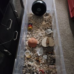 Pet Zone - Over 4 foot in length habitat for one hamster